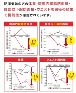 オイグルトの摂取による体重や体脂肪の変化を観察した結果